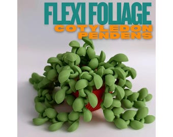 Flexi Foliage Cotyledon Pendens – Articulated 3D Printed Trailing Plant Decor