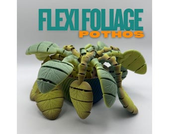 Flexi Foliage: Pothos