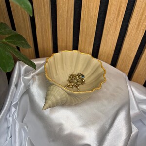 Könnte beinhalten: Eine muschelförmige Schmuckschale mit goldenem Rand, gefüllt mit Goldschmuck. Die Schale ist cremefarben und steht auf einer weißen Satin-Oberfläche. Der Hintergrund zeigt eine Holzlattenwand.