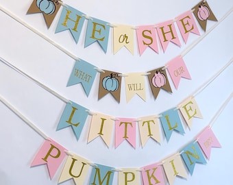Pumpkin Gender Reveal Banner: Pink or Blue Baby Shower Decoration