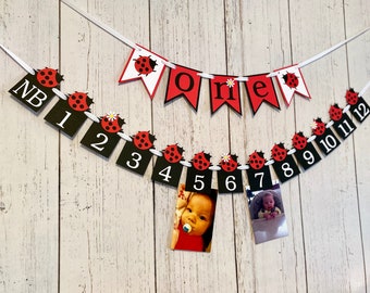 Ladybug First Birthday Decorations - 12 Month Photo Banner- Lady bug Birthday - ONE High Chair Banner- One Banner - Smash Cake Photo Prop