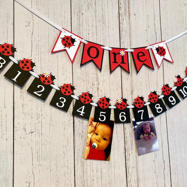 Ladybug First Birthday Decorations - 12 Month Photo Banner- Lady bug Birthday - ONE High Chair Banner- One Banner - Smash Cake Photo Prop