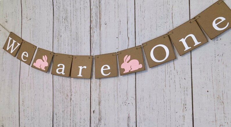 ONE High chair Banner Some bunny is One 1st Birthday We are One Photo Backdrop Twins Bunny First Birthday Twin Girls,Boys 1st Birthday