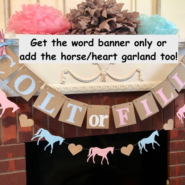 Colt or Filly Gender Reveal decorations  / Boy or Girl? Horse Themed Baby Announcement / Rustic Baby Shower Decor / Boots or Bow Sign-