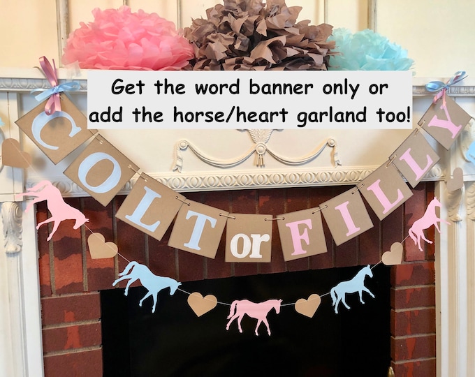 Colt or Filly Gender Reveal Decorations / Boy or Girl Horse Themed Baby Announcement / Rustic