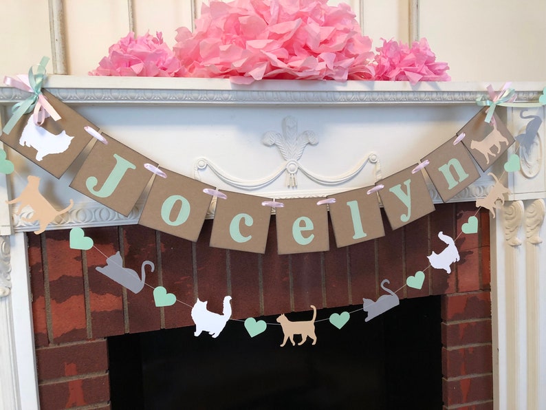 Custom Kitty Cat Birthday Decorations Cat Baby Shower Etsy