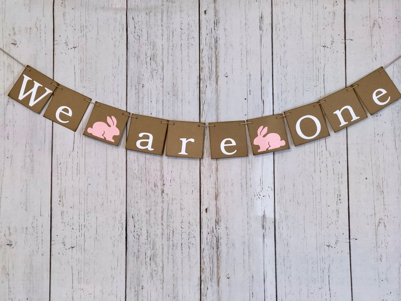ONE High chair Banner Some bunny is One 1st Birthday We are One Photo Backdrop Twins Bunny First Birthday Twin Girls,Boys 1st Birthday