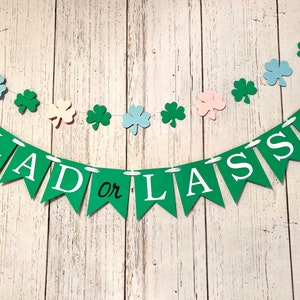 Pu&ograve; includere: Striscione verde e bianco con il testo "LAD or LASS" e decorazioni a trifoglio.