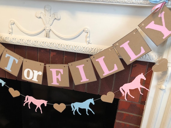 KALIONE 2-Piece Horse Birthday Banner – Pink Felt Garland, 2.3m Long, Equestrian Party Decor