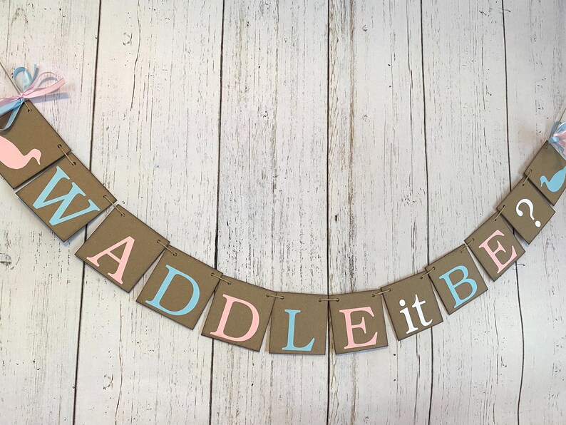 May include: A brown paper banner with the words "Waddle it be?" in pink and blue letters. The banner is decorated with a pink and blue duck silhouette on each end.