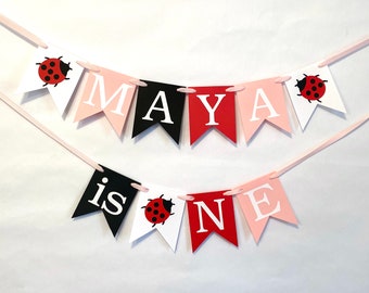 Custom Ladybug 1st Birthday Decor / 1st birthday banner Girl / Little Lady High Chair Banner / Pink Cake Smash Photo Prop