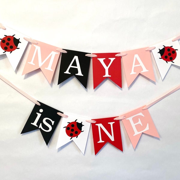 Custom Ladybug 1st Birthday Decor / 1st birthday banner Girl / Little Lady High Chair Banner / Pink Cake Smash Photo Prop