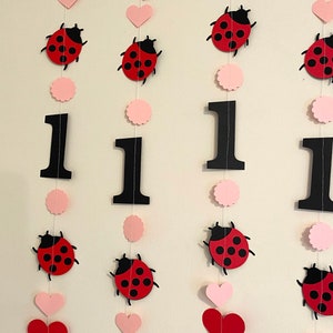 Pink Lady bug 1st Birthday decorations 1st birthday garland Love Bug decor ladybug birthday Backdrop Little Lady 1st 2nd 3rd birthday image 4