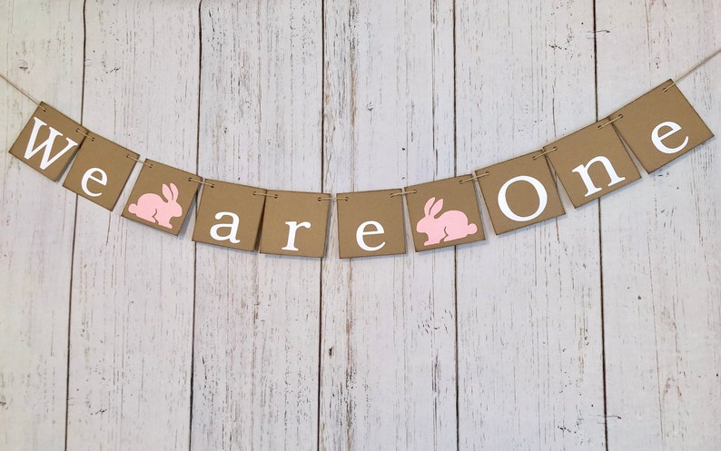 ONE High chair Banner Some bunny is One 1st Birthday We are One Photo Backdrop Twins Bunny First Birthday Twin Girls,Boys 1st Birthday