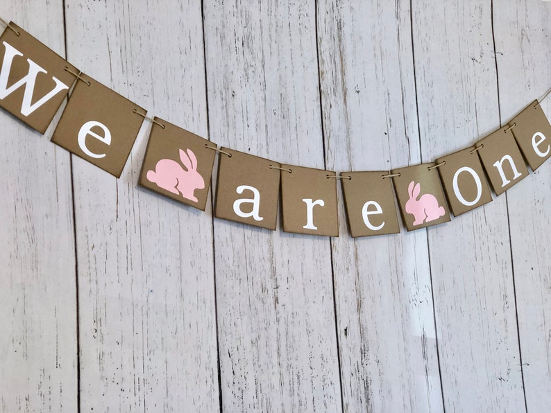 ONE High chair Banner Some bunny is One 1st Birthday We are One Photo Backdrop Twins Bunny First Birthday Twin Girls,Boys 1st Birthday