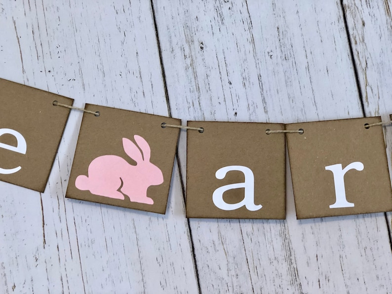 ONE High chair Banner Some bunny is One 1st Birthday We are One Photo Backdrop Twins Bunny First Birthday Twin Girls,Boys 1st Birthday
