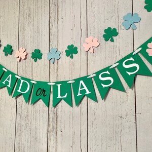Pu&ograve; includere: Striscione verde e bianco con il testo "Lad or Lass" e sagome di trifoglio in rosa, blu e verde.