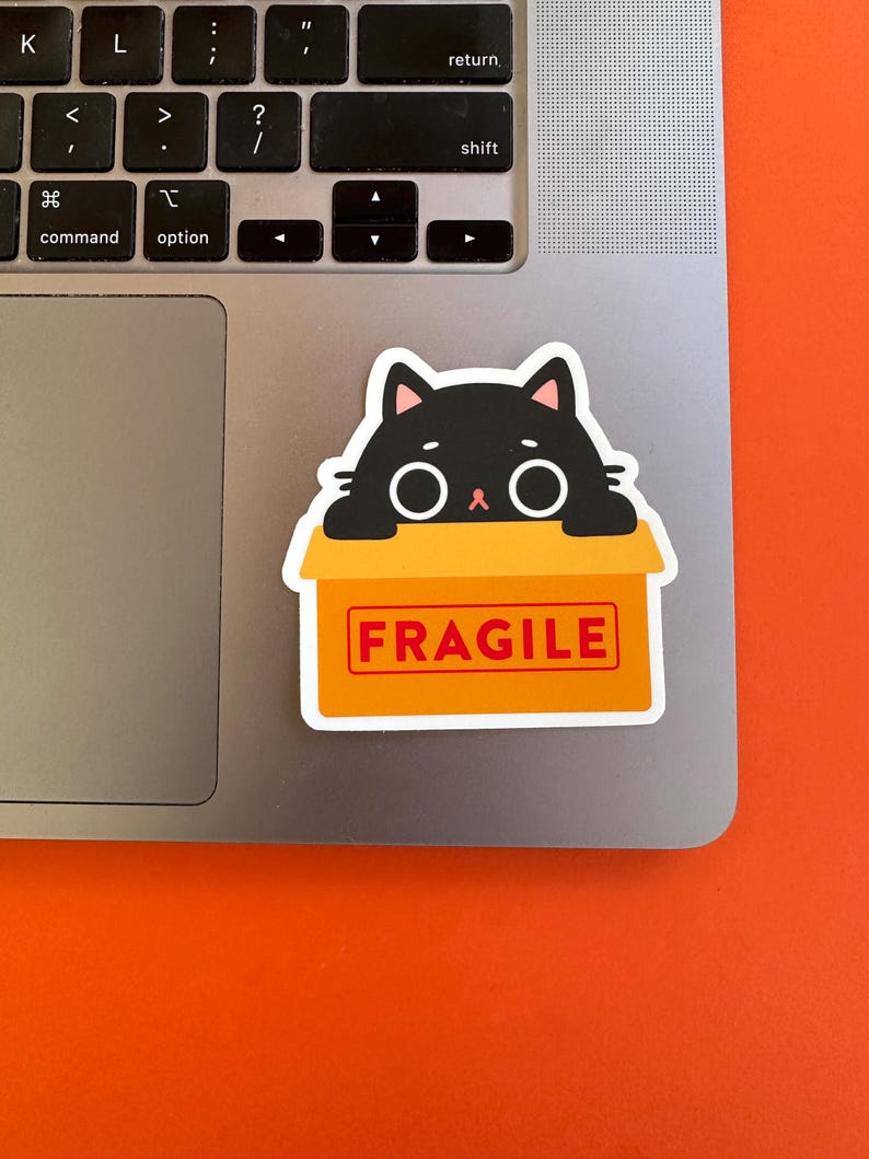 Fragile Computer Sticker Fragile Cat Sticker – Waterproof Vinyl Die-cut Art (3