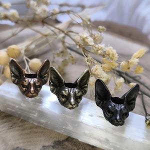 Puede incluir: Tres esculturas de cabeza de gato de metal en bronce, oro y negro. Las esculturas están detalladas con orejas grandes y una superficie texturizada. Se exhiben sobre una superficie blanca y rectangular con flores secas en el fondo.