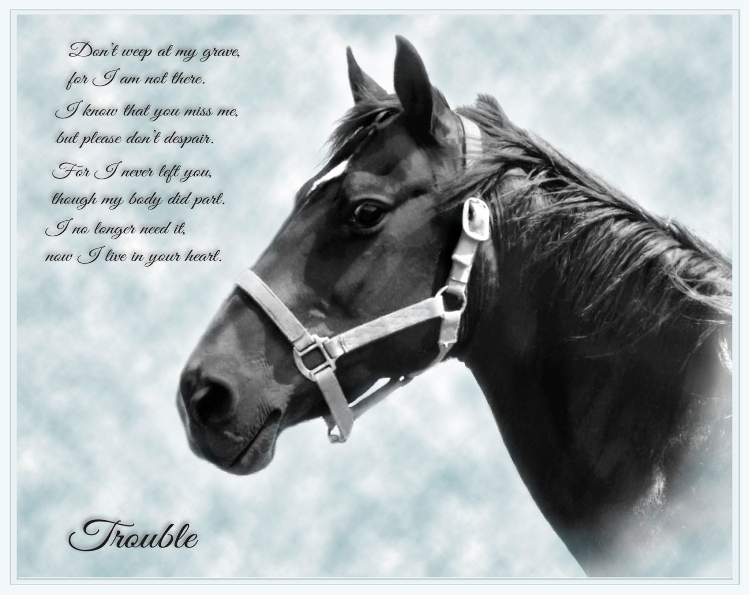 Custom Horse Memorial Portrait Personalised Loss of a Horse Etsy
