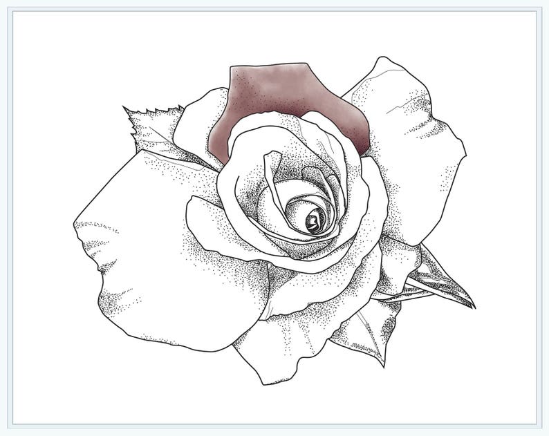 Rose Coloring Pages For Adults Flowers Rose Coloring Pages For Adults Flowers