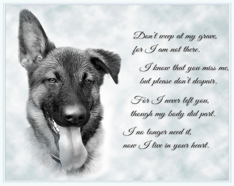 Pet Memorial Portrait Personalised Pet Remembrance Gift Etsy UK