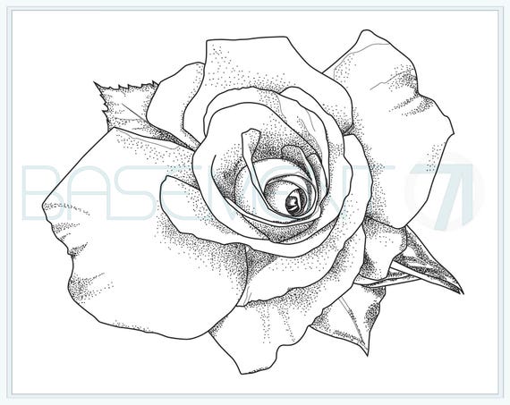 rose coloring page  printable flower adult colouring page of original hand  drawn flower drawing  instant download