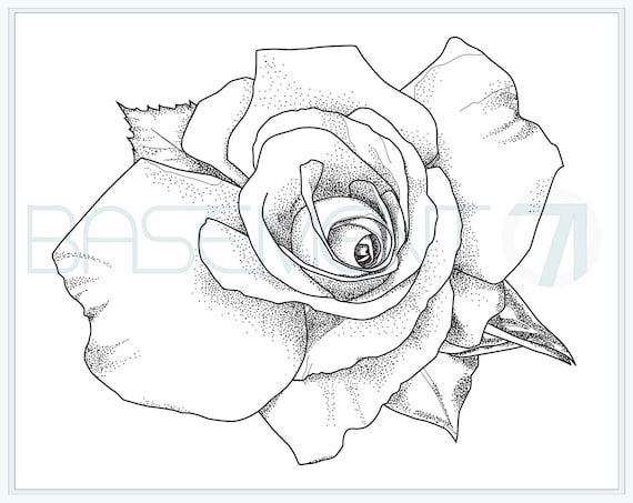 rose coloring page  printable flower adult colouring page of original hand  drawn flower drawing  instant download