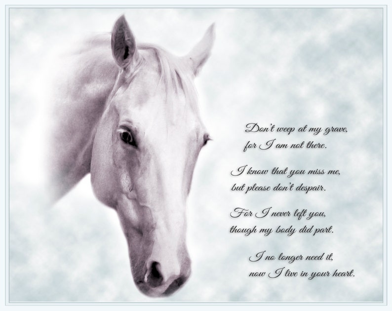 Digital File NO SHIPPING REQUIRED Pet Loss Gift Personalised Loss of a Horse Gift Horse Remembrance Custom Horse Memorial Portrait