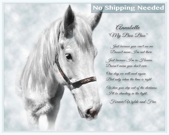 Digital File NO SHIPPING REQUIRED Pet Loss Gift Personalised Loss of a Horse Gift Horse Remembrance Custom Horse Memorial Portrait