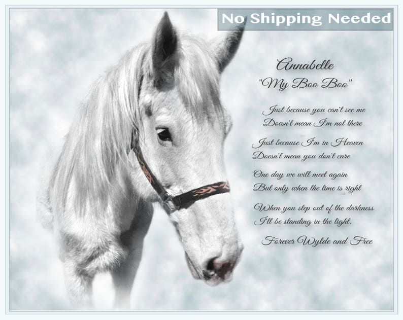 Digital File NO SHIPPING REQUIRED Pet Loss Gift Personalised Loss of a Horse Gift Horse Remembrance Custom Horse Memorial Portrait