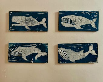 Juego de imanes con estampado de ballena