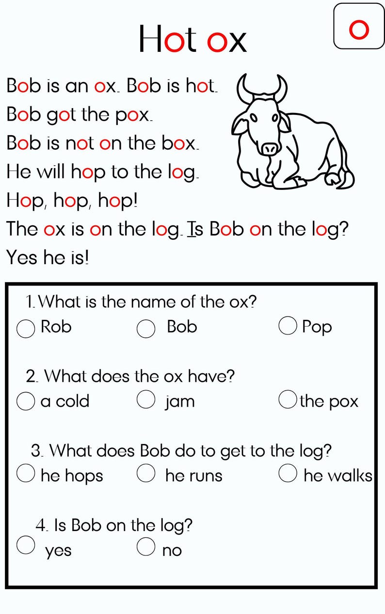 Fun With Phonics Book 2: Decodable CVC Passages and Sentences - Etsy