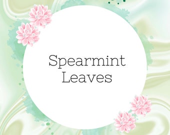 Clearance! 50% off  Wholesale Organic Spearmint Leaves, Bathbomb Additive, Bath Tub Tea, Soaps, Soaks, Bathtub Spa Time Shower *Ships in 24