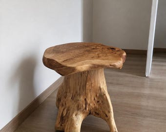 Root Mushroom Stool