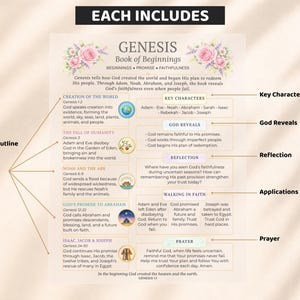 Bible Inserts, Womens Bible Study Guide, Bible Tip Ins, Printable Bible Study Insert, Books of the Bible Overview, 66 Bible Book Summaries