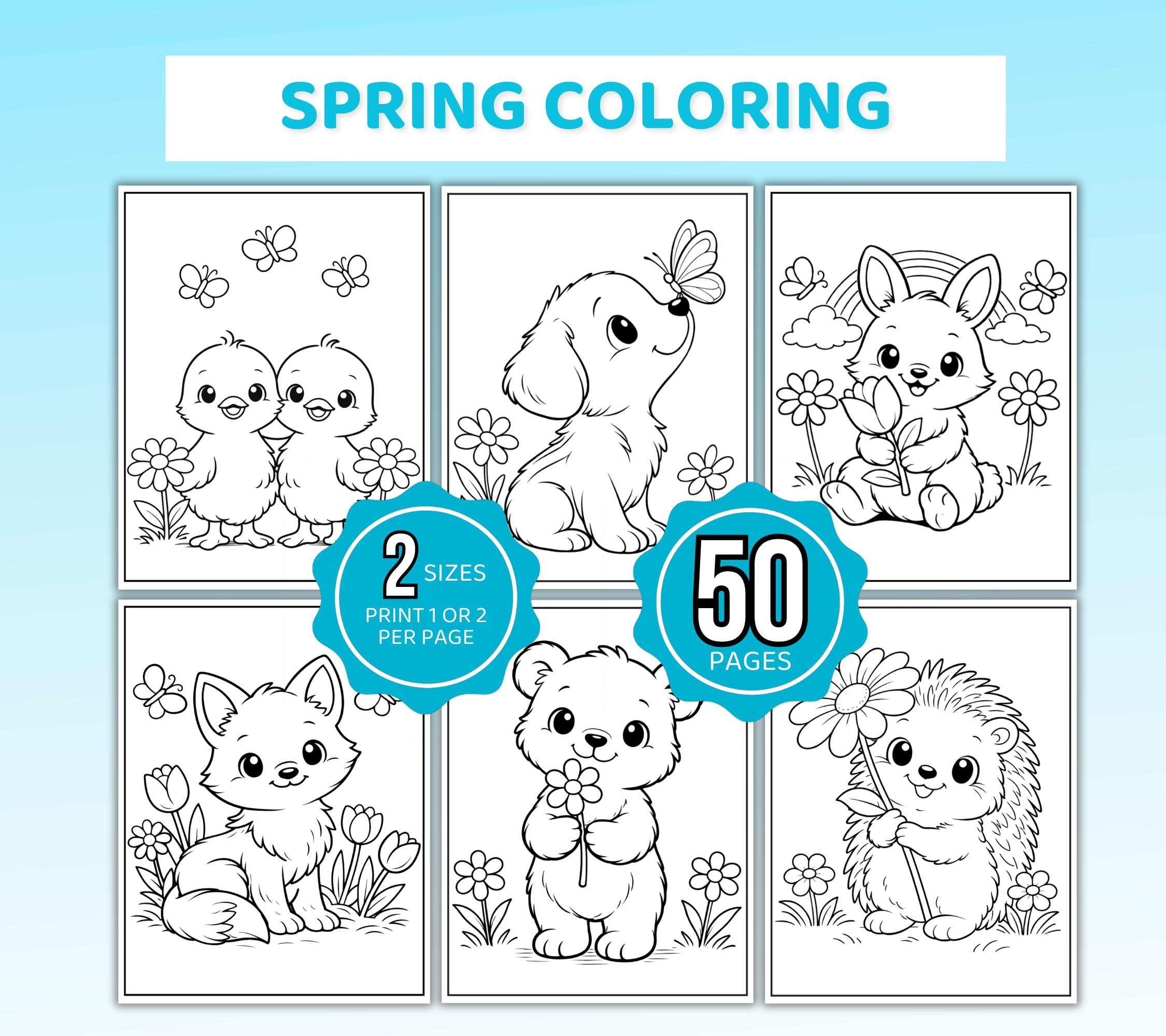 Spring Coloring Pages, Spring Coloring Book, Spring Coloring Sheets…
