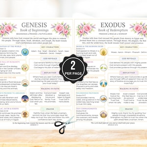 Bible Inserts, Womens Bible Study Guide, Bible Tip Ins, Printable Bible Study Insert, Books of the Bible Overview, Bible Book Summaries