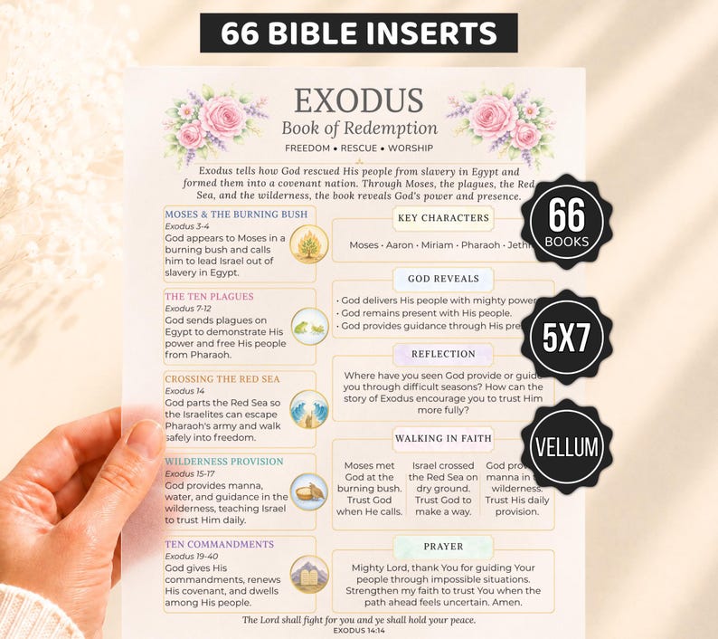 Bible Inserts, Womens Bible Study Guide, Bible Tip Ins, Printable Bible Study Insert, Books of the Bible Overview, 66 Bible Book Summaries