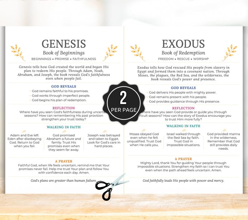 Bible Inserts, Womens Bible Study Guide, Bible Tip Ins, Printable Bible Study Insert, Books of the Bible Overview, Bible Book Summaries