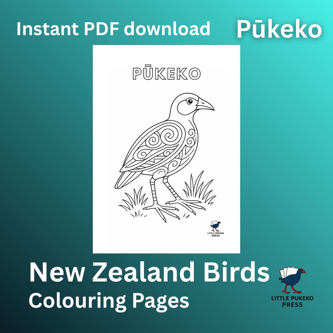 Pūkeko Colouring Page: New Zealand Bird Art (printable PDF) - Etsy