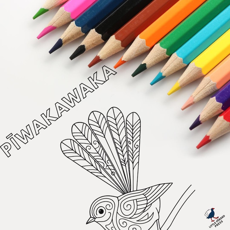 Pīwakawaka Colouring Page: New Zealand Bird Art (printable PDF) - Etsy