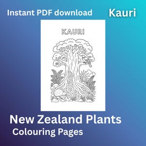 Kauri Tree Colouring Page – Printable NZ Native Tree PDF
