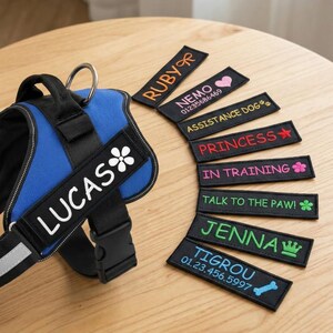 May include: A blue and black dog harness with the name "LUCAS" in white lettering. Several black patches with embroidered names and phrases like "RUBY", "NEMO", "ASSISTANCE DOG", and "PRINCESS" are also displayed.