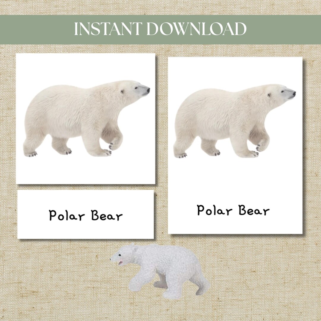 Montessori Three-part Cards Arctic Safari Ltd TOOB – Digital Download ...