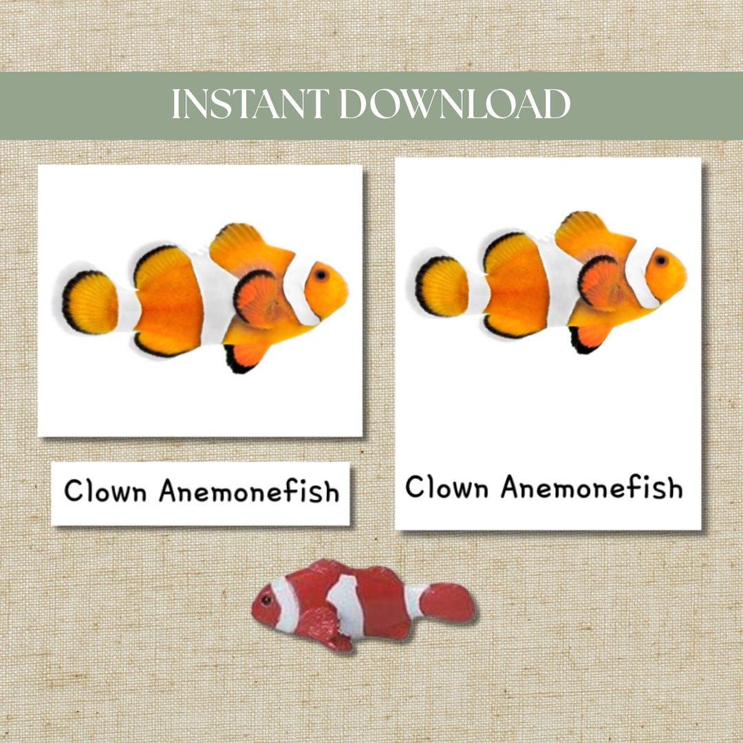 Montessori Three-part Cards Coral Reef Safari Ltd TOOB – Digital ...