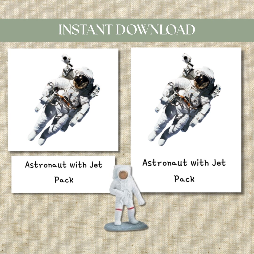 Montessori Three-part Cards Space Safari Ltd TOOB – Digital Download - Etsy