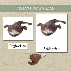 May include: An image featuring two prints and a sculpture of an anglerfish. The prints show a brown anglerfish on a white background, with the word "Anglerfish" below. The sculpture is a brown anglerfish with a glowing lure.