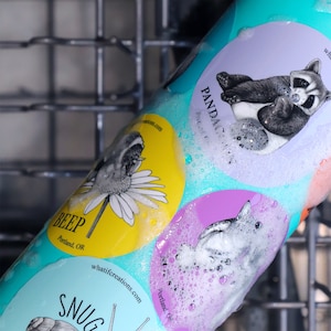 Pode incluir: Uma garrafa de &aacute;gua turquesa com quatro adesivos coloridos. Os adesivos apresentam ilustra&ccedil;&otilde;es de um guaxinim, um gato, um p&aacute;ssaro e um caracol. Os adesivos t&ecirc;m texto que diz "Panda", "Beep", "Snug" e "Whatifcreations.com".