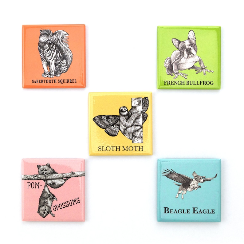 5 for 20.00 Hybrid Animal Fridge Magnet Deal Cat and Animal Hybrids Whatif Creations 2 inch Refrigerator Magnet Different Dog Breeds